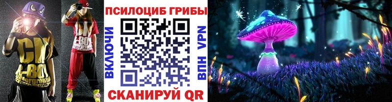 купить наркоту  Фурманов  omg ССЫЛКА  Псилоцибиновые грибы Cubensis 